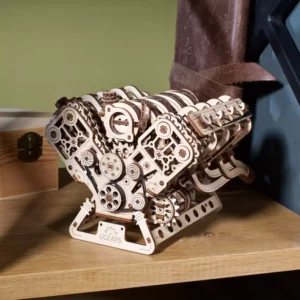 v1