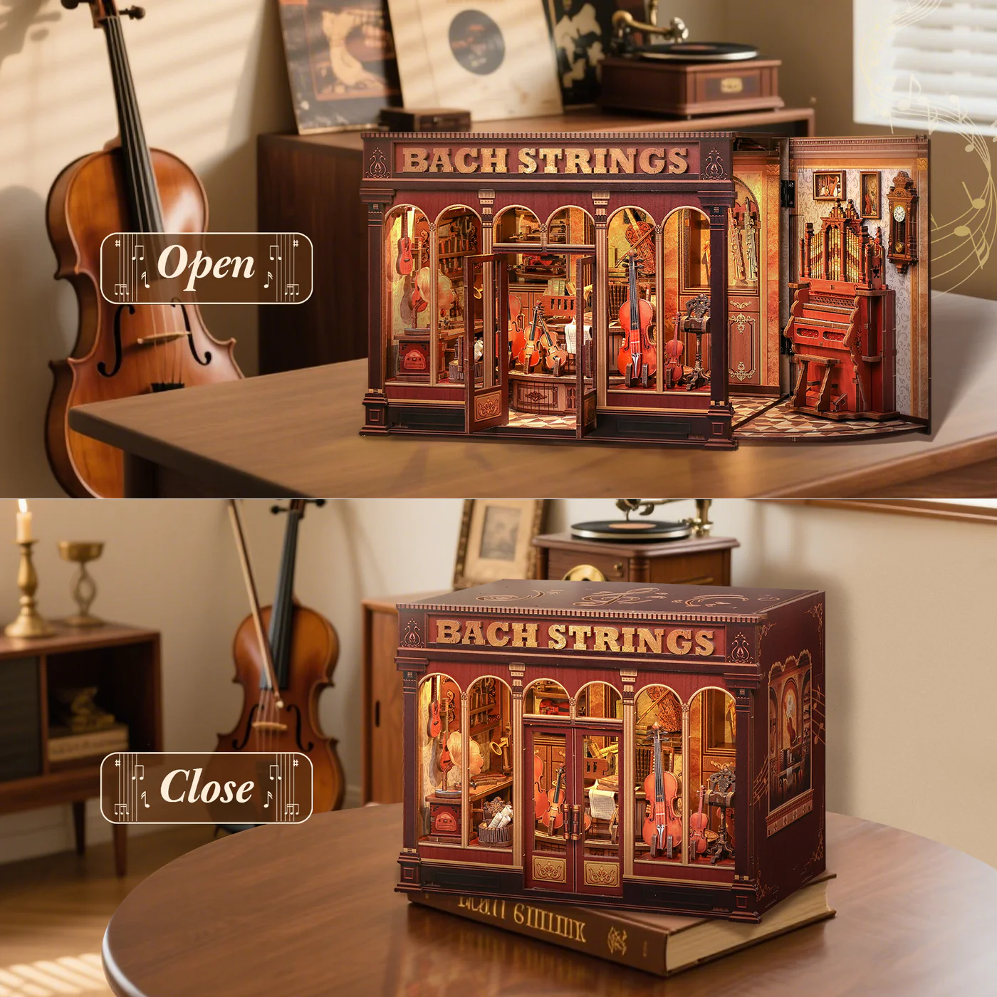 Serre Livres - Cordes de bach - Bach strings – Image 8